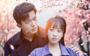 短剧《桃花门前是非多（87集）》短剧全集高清免费看