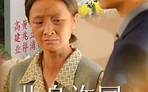 短剧《此身许国亦许卿（60集）》免费短剧完整版在线赏