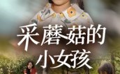 短剧《采蘑菇的小女孩（37集）》短剧高清全集免费看