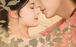 短剧《不负春和景宁（81集）》免费短剧畅享全集