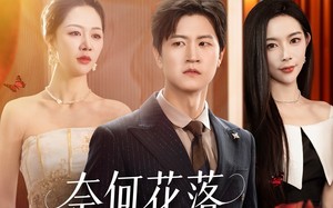 短剧《奈何花落爱凋零（71集）》短剧免费完整版在线览