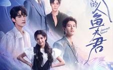 短剧《我的人鱼夫君（90集）》短剧免费在线完整赏