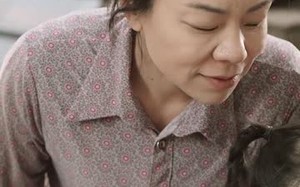 短剧《将人贩子送上法庭（30集）》短剧免费高清全集追看