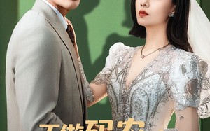 短剧《不做码农后红玫瑰她后悔了（60集）》免费短剧全集高清畅快看