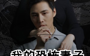 短剧《我的恐怖妻子（30集）》免费短剧全集一键观看