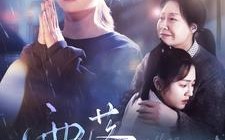 短剧《雨落尘归（80集）》精彩短剧全集免费览