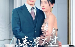 短剧《情深不过初见（70集）》热门短剧全集免费播放