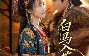 短剧《白马入芦花（59集）》免费短剧全集一网打尽