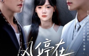 短剧《风停在转身时（72集）》热门短剧全集免费畅看