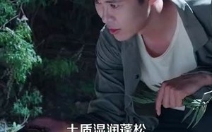 短剧《乡村小农民我靠系统发家致富 (100集)》精彩短剧全集免费品鉴