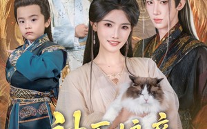 短剧《神医娘亲又掉马了（95集）》短剧完整版免费观看