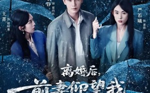 短剧《离婚后，前妻仰望我扶摇直上（84集）》短剧免费全集高清畅享