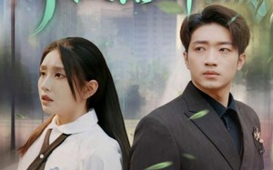 短剧《青枝落祁城（71集）》爆火短剧免费全集享