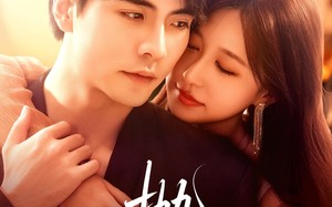 短剧《抛饵（80集）》短剧全集在线高清观看