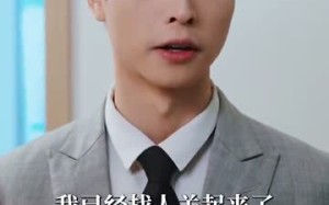 短剧《情陷港城（100集）》精彩短剧完整版免费赏