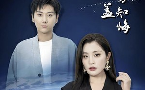 短剧《枇杷如盖方知悔（30集）》优质短剧免费全集观映