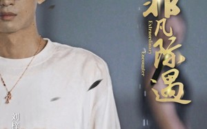 短剧《菲凡际遇（100集）》热门短剧免费在线速看