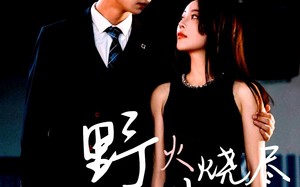 短剧《野火烧尽芳草时（65集）》短剧热门全集免费观赏