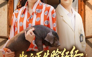 短剧《斯文医生脸红红追着老婆哄（94集）》热门短剧在线畅快追