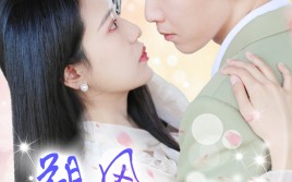 短剧《朔风有解意（70集）》热门短剧免费全集看