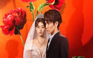 短剧《金燕还巢当感恩（55集）》短剧高清全集免费播放