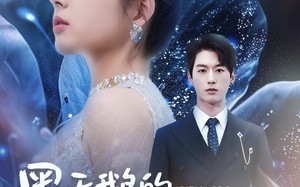 短剧《黑天鹅的伪装教科书（60集）》免费短剧全集在线赏