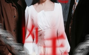 短剧《谁是凶手（31集）》热门短剧无广告在线追