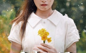 短剧《月落沉冤今当昭雪（60集）》热门短剧完整版观看