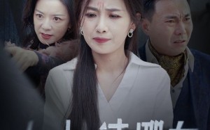 短剧《善门难开（29集）》免费短剧全集尽情观