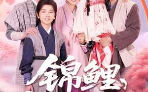 短剧《锦鲤饲养手册（80集）》超火短剧免费畅看全集