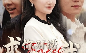 短剧《求你别说喜欢我（40集）》短剧完整版免费畅享