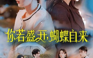 短剧《你若盛开，蝴蝶自来（63集）》免费短剧全集高清观看