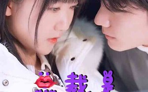 短剧《总裁是闪婚老公（21集）》短剧高清全集免费播