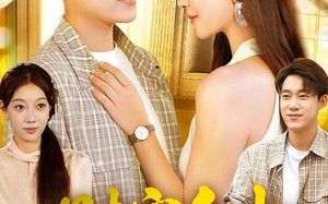 短剧《财富自由从获得系统开始（112集）》精彩短剧在线畅享观看