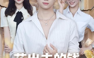 短剧《花出去的钱都成了我的资产（80集）》短剧在线高清免费看