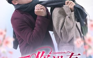 短剧《爱你没有冷静期（32集）》短剧免费畅享全集资源