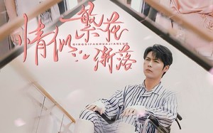 短剧《情似繁花渐落（62集）》精彩短剧免费全集直追