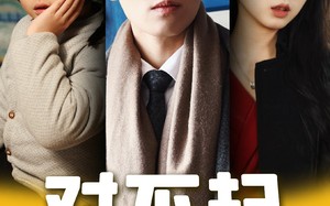 短剧《对不起，哥哥来晚了（38集）》爆款短剧免费全集畅看