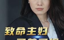 短剧《致命主妇又美又飒（60集）》短剧全集无广告在线看