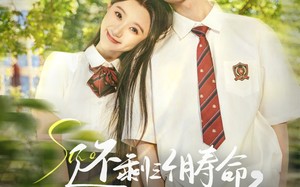 短剧《还剩三个月寿命，请让我从容赴死（71集）》优质短剧完整版免费观