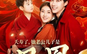 短剧《夭寿了她老公儿子是凤凰（82集）》热门短剧高清全集在线播