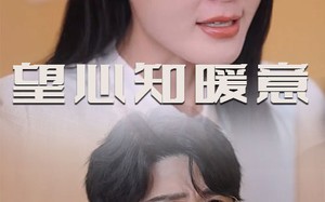 短剧《望心知暖意（31集）》短剧高清全集免费播