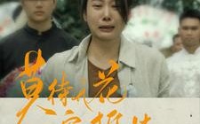 短剧《莫待无花空折枝（75集）》超清短剧免费全集看