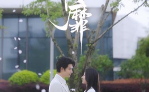 短剧《情靡（92集）》热门短剧完整版在线赏