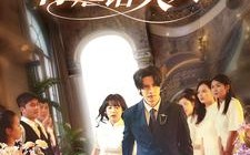 短剧《陆总住手吧，你虐错夫人了（80集）》短剧免费全集在线速观