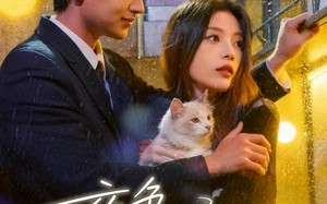 短剧《夜色正浓时（32集）》短剧免费全集流畅播放