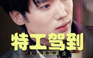 短剧《特工驾到大小姐别闹了（40集）》短剧超燃剧情在线品