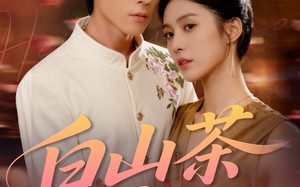 短剧《白山茶与黑月光（59集）》热门短剧免费在线品鉴