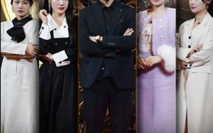 短剧《5330追龙（87集）》热门短剧免费在线赏