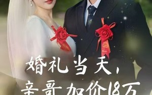 短剧《婚礼当天，亲哥加价18万（36集）》爆款短剧全集免费看
